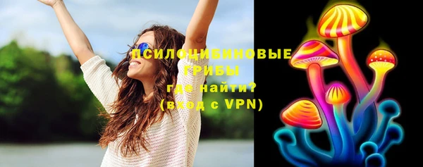 молекула духа Аркадак