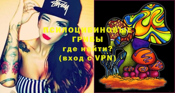 молекула духа Аркадак